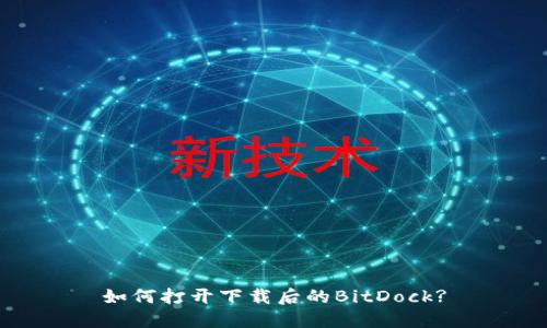 如何打开下载后的BitDock?