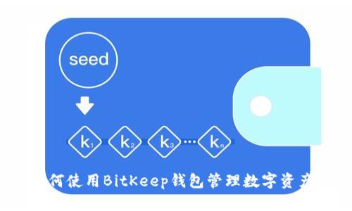 如何使用BitKeep钱包管理数字资产?