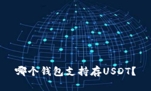 哪个钱包支持存USDT？