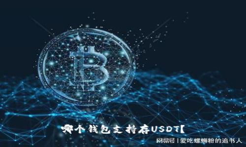 哪个钱包支持存USDT？