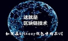 如何在BitKeep钱包中购买U？