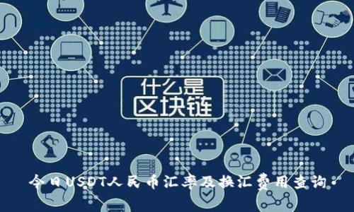 今日USDT人民币汇率及换汇费用查询