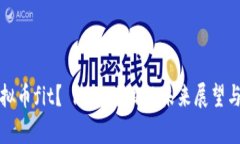 什么是虚拟币fit？ | Fit项目的未来展望与发展前