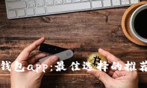 比特币美国钱包app：最佳选择的推荐和使用指南