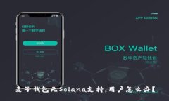 麦子钱包无Solana支持，用户怎么办？