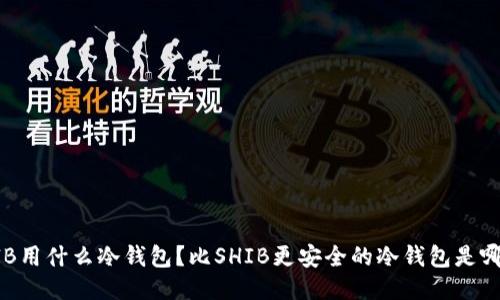 SHIB用什么冷钱包？比SHIB更安全的冷钱包是哪些？