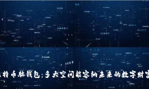 比特币脑钱包：多大空间能容纳未来的数字财富？