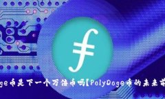 PolyDoge币是下一个万倍币吗？PolyDoge币的未来前景