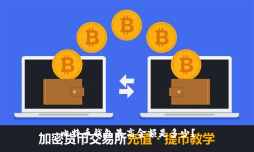 比特币钱包最高金额是多少？