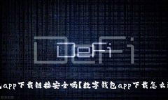  数字钱包app下载链接安全吗？数字钱包app下载怎