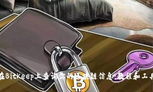 在BitKeep上查询你的区块链信息：教程和工具