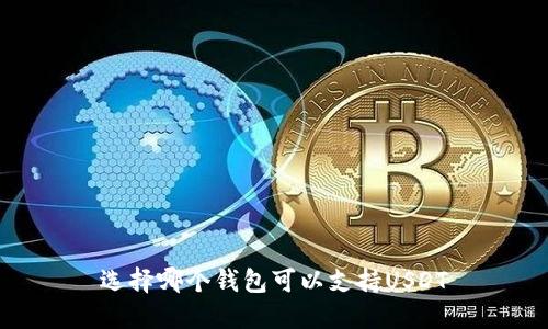 选择哪个钱包可以支持USDT