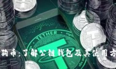 狗狗币：了解公链钱包及其使用方法