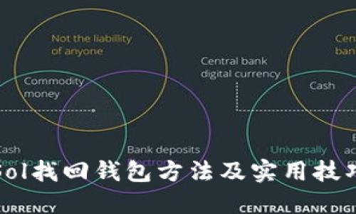 Sol找回钱包方法及实用技巧