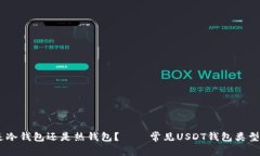 USDT钱包是冷钱包还是热钱包？ │ 常见USDT钱包类