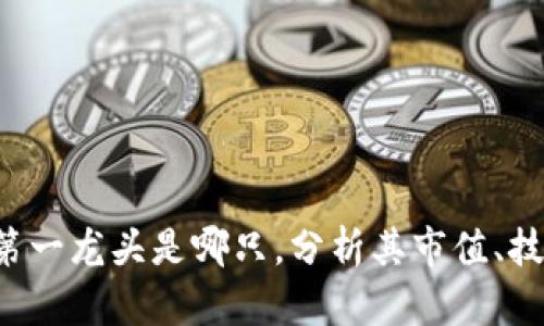 探究数字货币第一龙头是哪只，分析其市值、技术、社区等因素