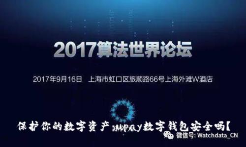 保护你的数字资产：upay数字钱包安全吗？