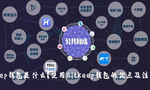 BitKeep钱包是什么？使用BitKeep钱包的优点及注意事项