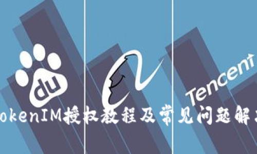 TokenIM授权教程及常见问题解决