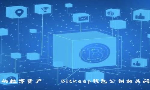 保护你的数字资产——BitKeep钱包公钥相关问题详解