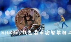 全面教程：使用BitKeep钱包在币安智能链上进行资