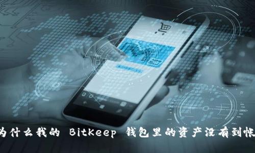 为什么我的 BitKeep 钱包里的资产没有到帐？