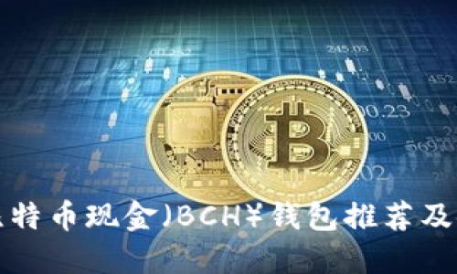 最好的比特币现金（BCH）钱包推荐及使用方法