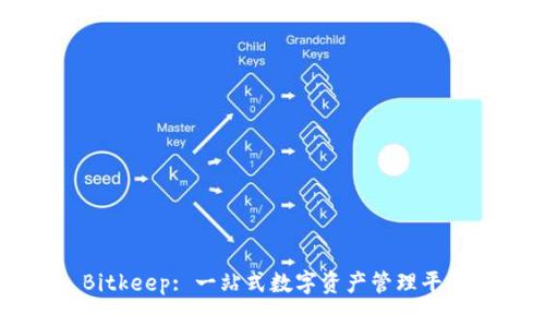 Bitkeep: 一站式数字资产管理平台