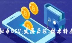 深入探讨虚拟币BSV：发展历程、技术特点与投资