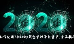 如何使用Bitkeep钱包管理子链资产：全面指南