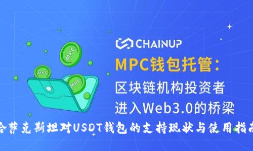 哈萨克斯坦对USDT钱包的支持现状与使用指南