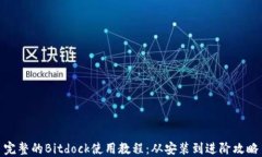 完整的Bitdock使用教程：从安装到进阶攻略