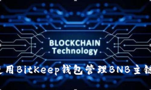 如何使用BitKeep钱包管理BNB主链资产？