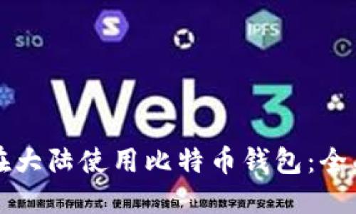 如何在大陆使用比特币钱包：全面指南