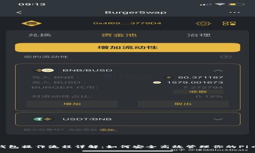 Pi币钱包操作流程详解：如何安全高效管理你的Pi币资产