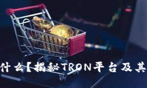 TRX币是什么？揭秘TRON平台及其主要应用