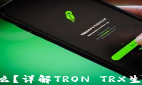 
TRX钱包是什么？详解TRON TRX生态及使用指南