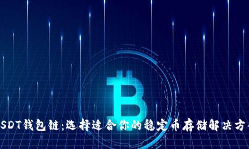 USDT钱包链：选择适合你的稳定币存储解决方案