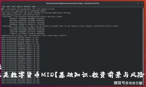 标题 
什么是数字货币MID？基础知识、投资前景与风险分析