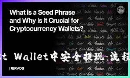 如何在Trust Wallet中安全提现：流程与注意事项