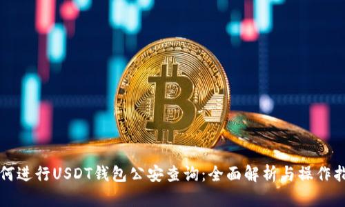 如何进行USDT钱包公安查询：全面解析与操作指南