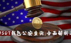 如何进行USDT钱包公安查询：全面解析与操作指南