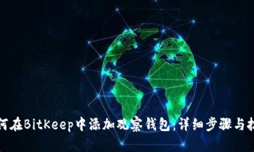 如何在BitKeep中添加观察钱包：详细步骤与技巧