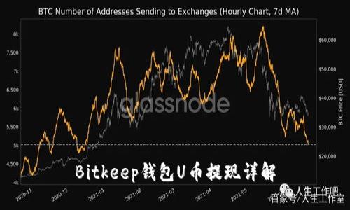 Bitkeep钱包U币提现详解