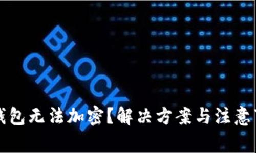 狗狗币钱包无法加密？解决方案与注意事项详解