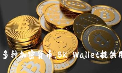 BK钱包的全名是“BK Wallet”。它是一种数字资产管理工具，可以用于存储、管理和交易多种加密货币。BK Wallet提供用户友好的界面和强大的安全性能，使得用户能够方便地进行加密货币交易和资产管理。