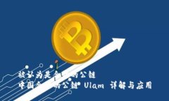 被认为是合法的公链  中国合法的公链 Ulam 详解与