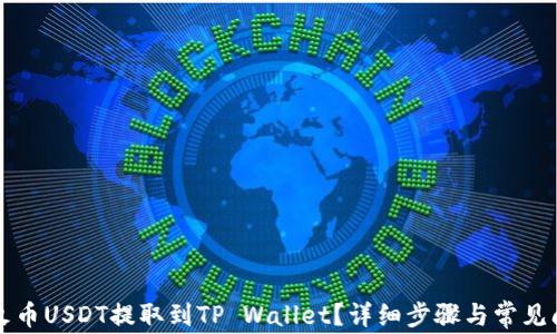 
如何将火币USDT提取到TP Wallet？详细步骤与常见问题解析