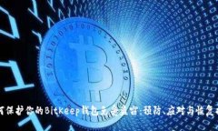 如何保护你的BitKeep钱包免受盗窃：预防、应对与