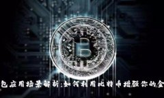 比特币钱包应用场景解析:如何利用比特币增强